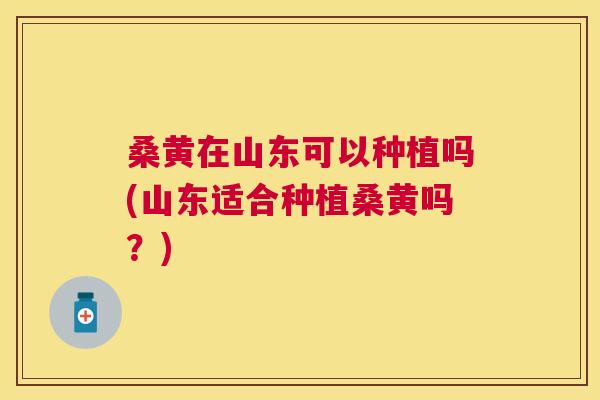 桑黄在山东可以种植吗(山东适合种植桑黄吗?) 桑黄在山东可以种植吗(山东适合种植桑黄吗?)