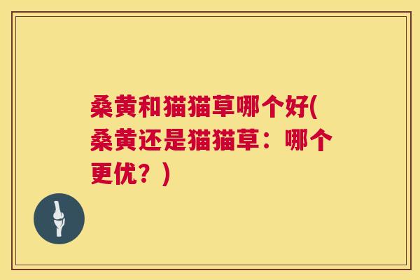 桑黄和猫猫草哪个好(桑黄还是猫猫草:哪个更优?) 桑黄和猫猫草哪个好(桑黄还是猫猫草:哪个更优?)