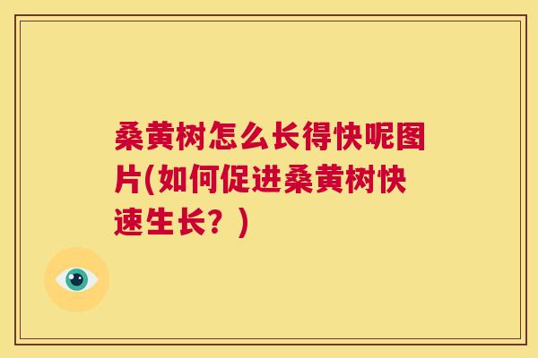 桑黄树怎么长得快呢图片(如何促进桑黄树快速生长?) 桑黄树怎么长得快呢图片(如何促进桑黄树快速生长?)