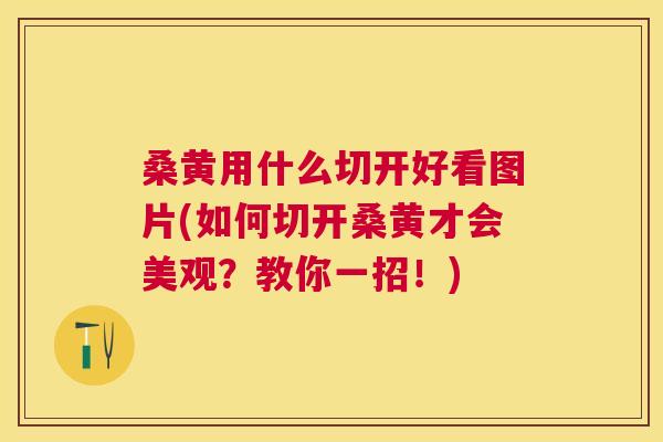 桑黄用什么切开好看图片(如何切开桑黄才会美观？教你一招！)