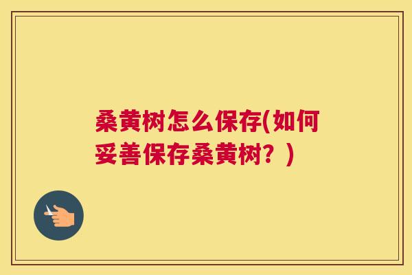 桑黄树怎么保存(如何妥善保存桑黄树？)