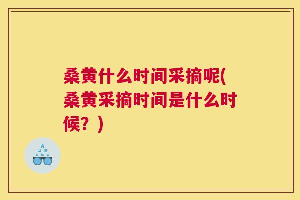 桑黄什么时间采摘呢(桑黄采摘时间是什么时候？)