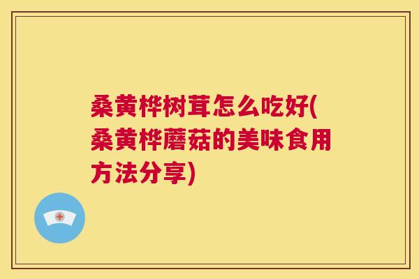 桑黄桦树茸怎么吃好(桑黄桦蘑菇的美味食用方法分享)