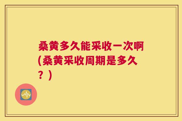 桑黄多久能采收一次啊(桑黄采收周期是多久？)