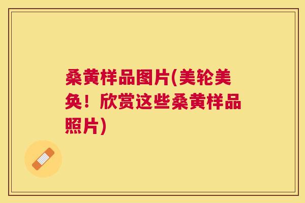 桑黄样品图片(美轮美奂！欣赏这些桑黄样品照片)
