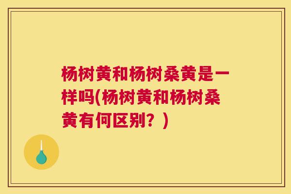 杨树黄和杨树桑黄是一样吗(杨树黄和杨树桑黄有何区别？)