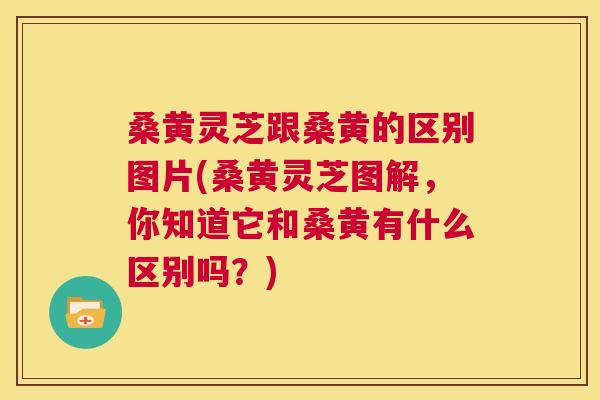 桑黄灵芝跟桑黄的区别图片(桑黄灵芝图解，你知道它和桑黄有什么区别吗？)
