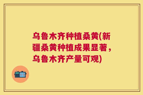 乌鲁木齐种植桑黄(新疆桑黄种植成果显著，乌鲁木齐产量可观)