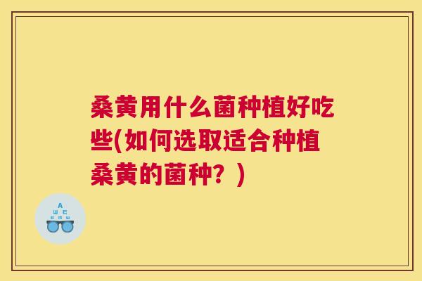 桑黄用什么菌种植好吃些(如何选取适合种植桑黄的菌种？)