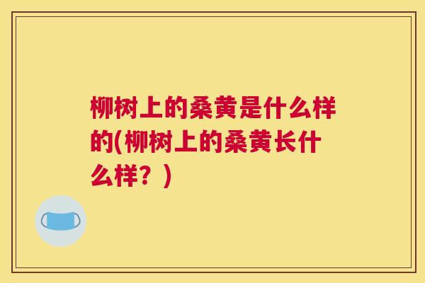 柳树上的桑黄是什么样的(柳树上的桑黄长什么样？)