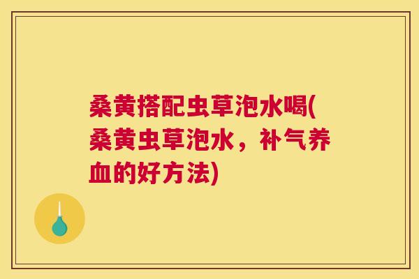 桑黄搭配虫草泡水喝(桑黄虫草泡水，的好方法)