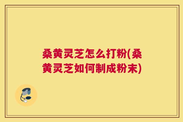 桑黄灵芝怎么打粉(桑黄灵芝如何制成粉末)