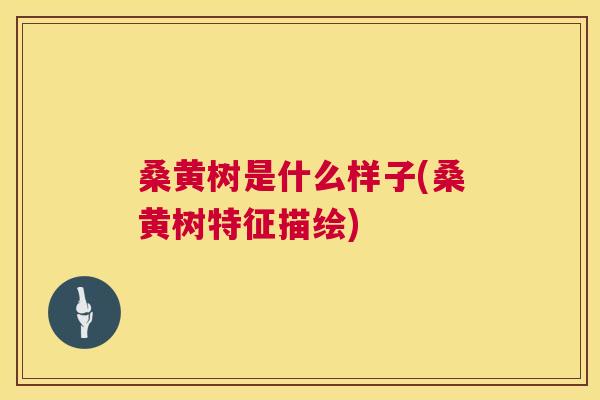桑黄树是什么样子(桑黄树特征描绘)