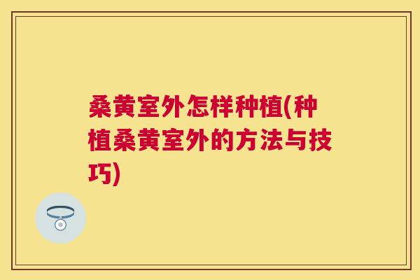 桑黄室外怎样种植(种植桑黄室外的方法与技巧)