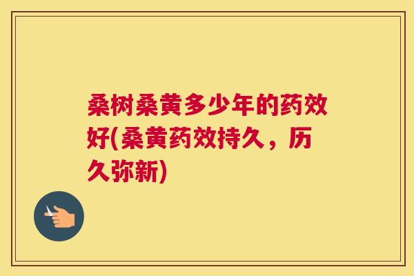 桑树桑黄多少年的好(桑黄持久，历久弥新)