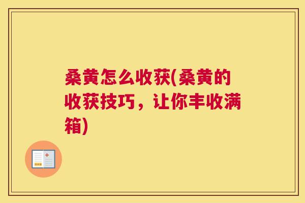 桑黄怎么收获(桑黄的收获技巧，让你丰收满箱)