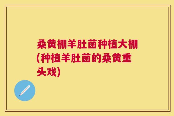 桑黄棚羊肚菌种植大棚(种植羊肚菌的桑黄重头戏)
