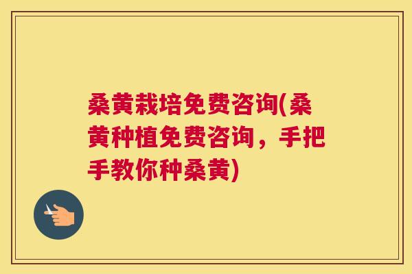 桑黄栽培免费咨询(桑黄种植免费咨询，手把手教你种桑黄)
