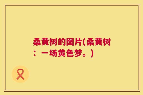 桑黄树的图片(桑黄树：一场黄色梦。)