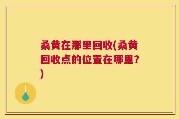 桑黄在那里回收(桑黄回收点的位置在哪里？)