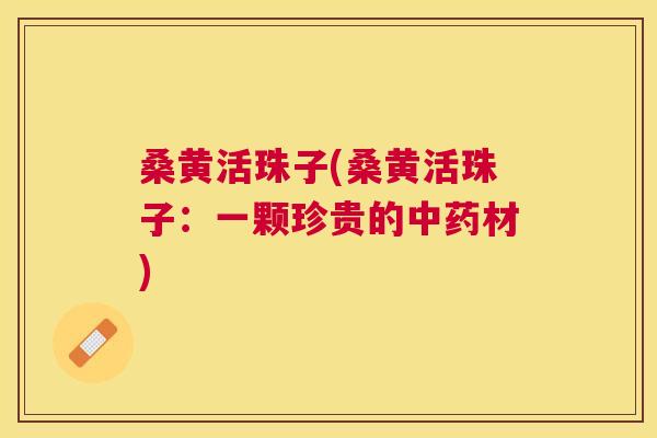 桑黄活珠子(桑黄活珠子：一颗珍贵的材)