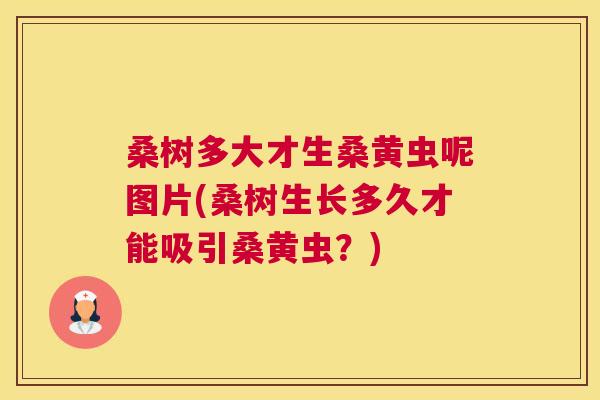 桑树多大才生桑黄虫呢图片(桑树生长多久才能吸引桑黄虫?) 桑树多大才生桑黄虫呢图片(桑树生长多久才能吸引桑黄虫?)
