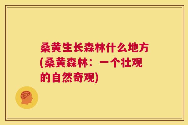 桑黄生长森林什么地方(桑黄森林：一个壮观的自然奇观)