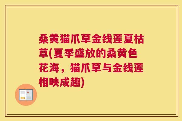 桑黄猫爪草金线莲夏枯草(夏季盛放的桑黄色花海，猫爪草与金线莲相映成趣)
