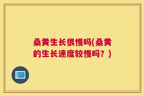 桑黄生长很慢吗(桑黄的生长速度较慢吗？)