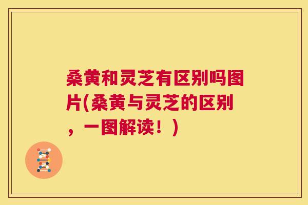 桑黄和灵芝有区别吗图片(桑黄与灵芝的区别，一图解读！)