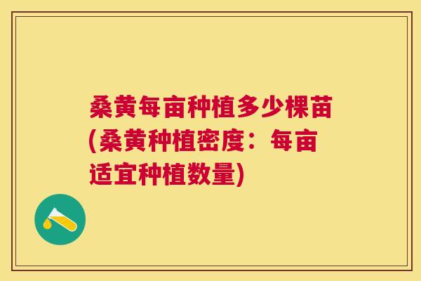 桑黄每亩种植多少棵苗(桑黄种植密度：每亩适宜种植数量)