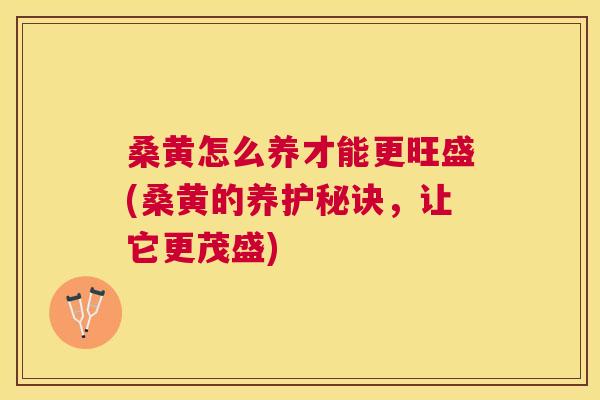桑黄怎么养才能更旺盛(桑黄的养护秘诀，让它更茂盛)