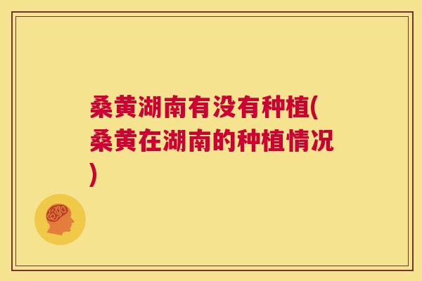桑黄湖南有没有种植(桑黄在湖南的种植情况)