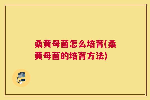 桑黄母菌怎么培育(桑黄母菌的培育方法)