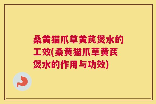 桑黄猫爪草黄芪煲水的工效(桑黄猫爪草黄芪煲水的作用与功效)