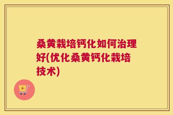 桑黄栽培钙化如何理好(优化桑黄钙化栽培技术)