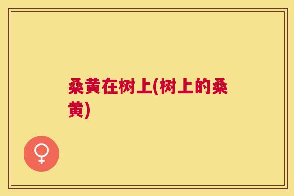 桑黄在树上(树上的桑黄)