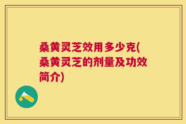 桑黄灵芝效用多少克(桑黄灵芝的剂量及功效简介)