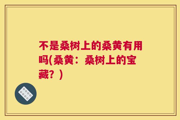 不是桑树上的桑黄有用吗(桑黄：桑树上的宝藏？)