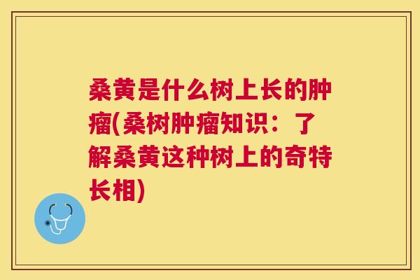 桑黄是什么树上长的(桑树知识：了解桑黄这种树上的奇特长相)