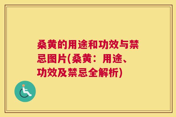 桑黄的用途和功效与禁忌图片(桑黄：用途、功效及禁忌全解析)