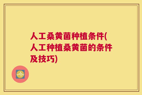 人工桑黄菌种植条件(人工种植桑黄菌的条件及技巧)
