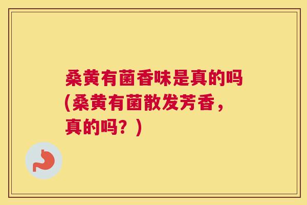 桑黄有菌香味是真的吗(桑黄有菌散发芳香，真的吗？)