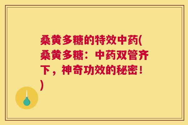 桑黄多糖的特效(桑黄多糖：双管齐下，神奇功效的秘密！)