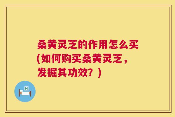桑黄灵芝的作用怎么买(如何购买桑黄灵芝，发掘其功效？)