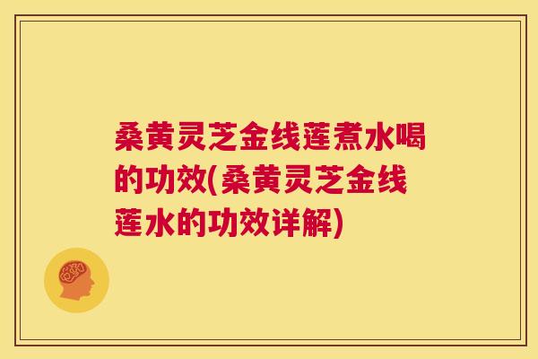 桑黄灵芝金线莲煮水喝的功效(桑黄灵芝金线莲水的功效详解)
