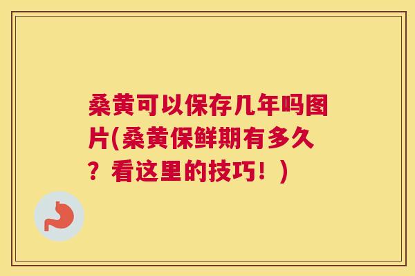 桑黄可以保存几年吗图片(桑黄保鲜期有多久？看这里的技巧！)