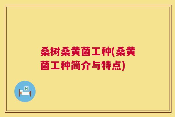 桑树桑黄菌工种(桑黄菌工种简介与特点)