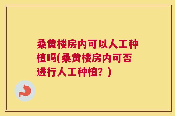 桑黄楼房内可以人工种植吗(桑黄楼房内可否进行人工种植？)