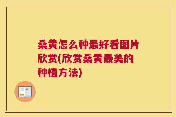 桑黄怎么种好看图片欣赏(欣赏桑黄美的种植方法)